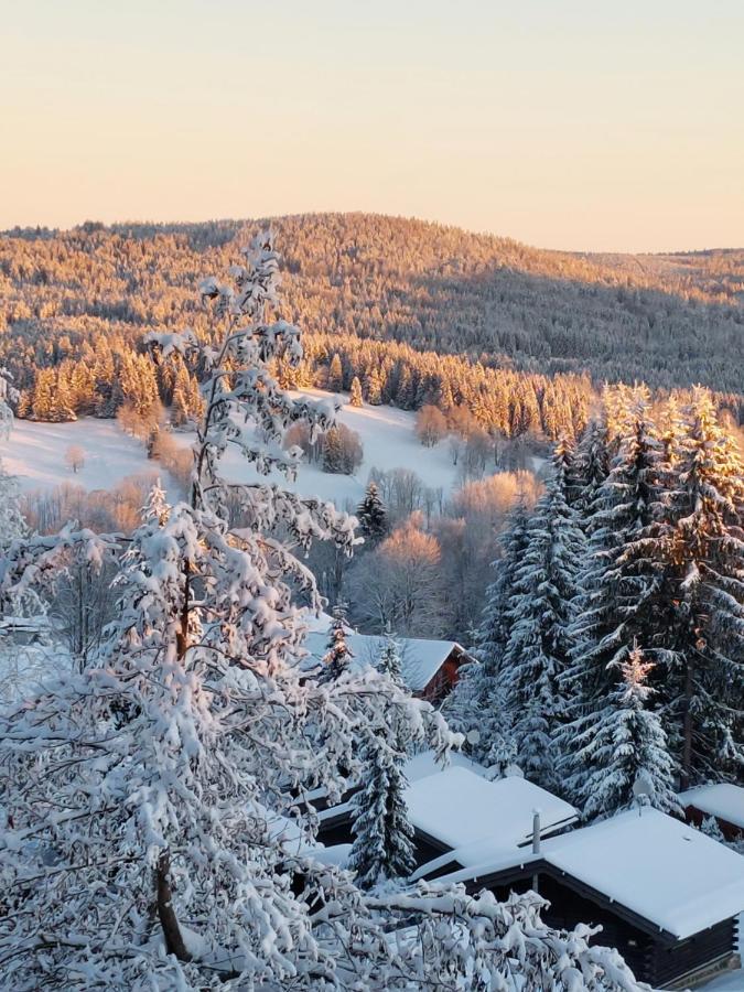 Apartment Almberg Mitterfirmiansreut Eksteriør bilde