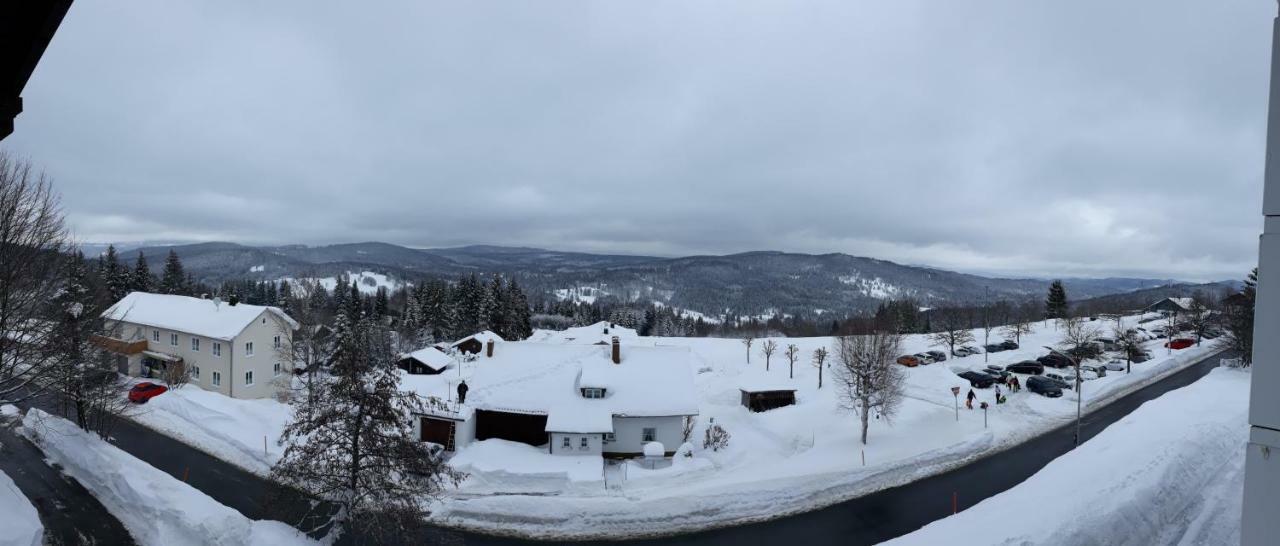 Apartment Almberg Mitterfirmiansreut Eksteriør bilde