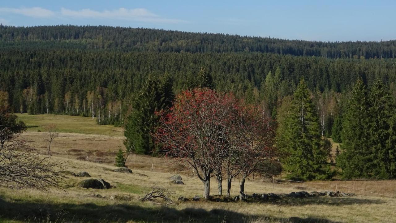 Apartment Almberg Mitterfirmiansreut Eksteriør bilde
